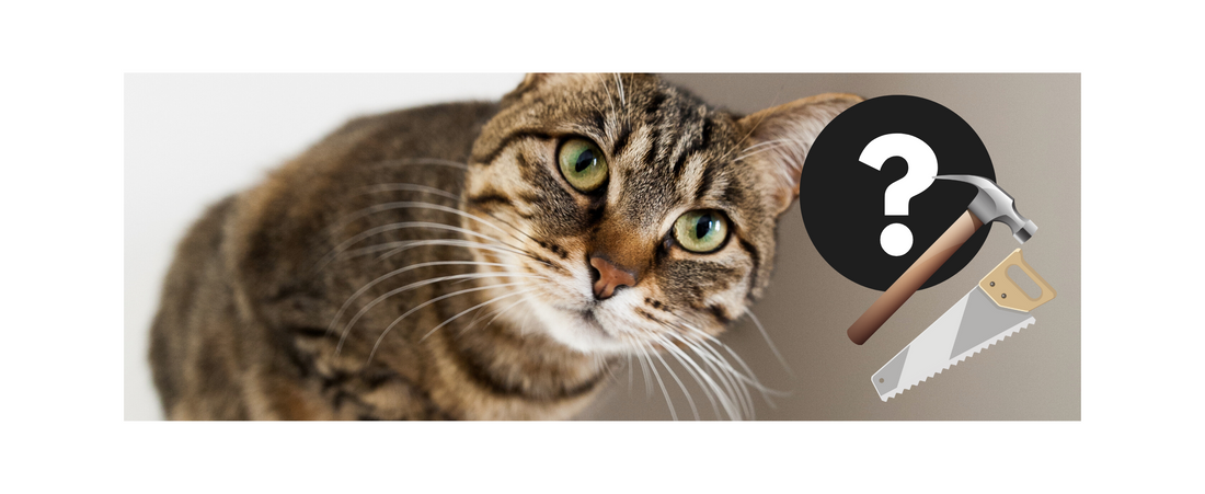 Katzenlaufrad selbst bauen