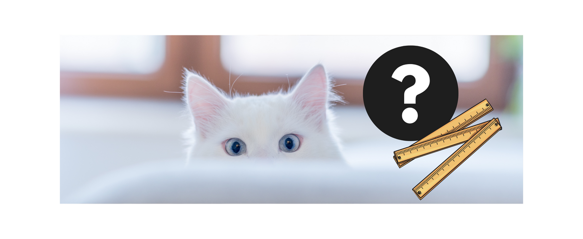 Wie groß sollte ein Katzenlaufrad sein? Die optimale Größe für den Vierbeiner
