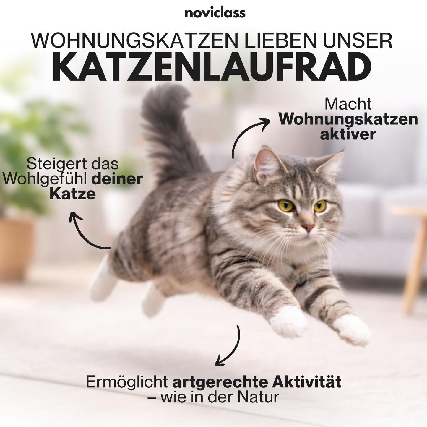 Katzenlaufrad 'Baghira' XXL Groß 120cm Innendurchmesser