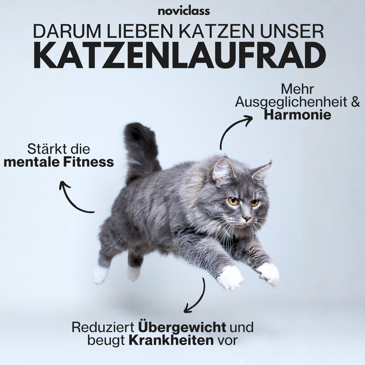 Katzenlaufrad 'Baghira' XXL Groß 120cm Innendurchmesser