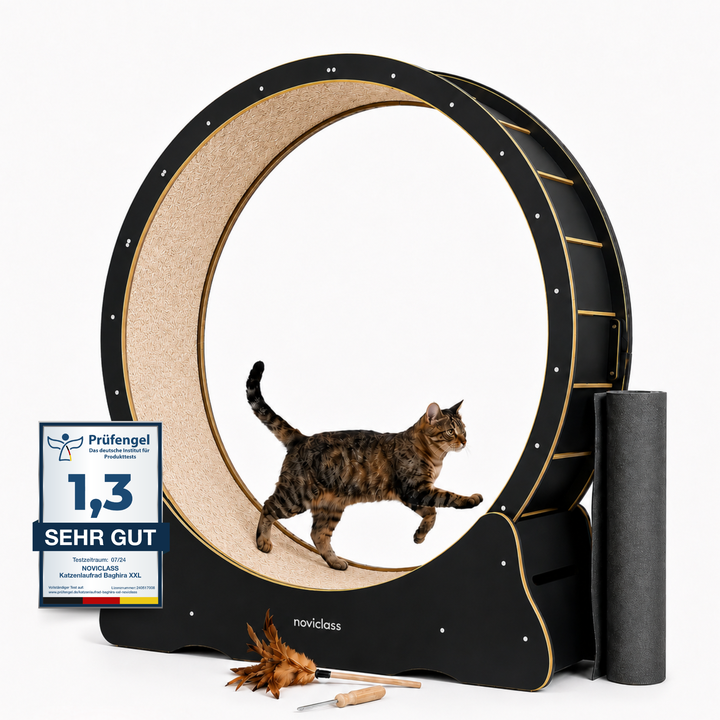 Katzenlaufrad &