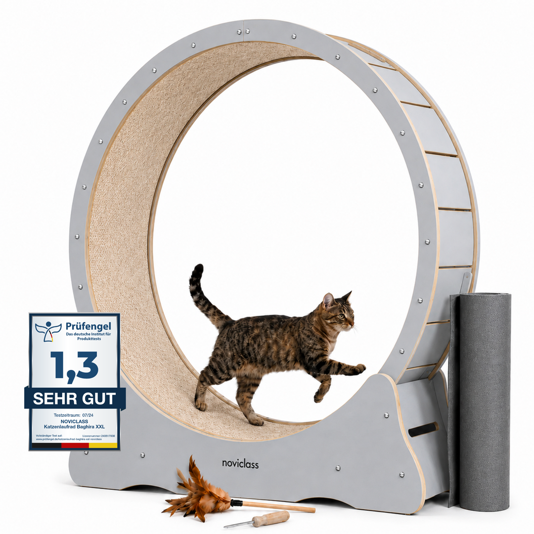 Baghira &amp; Chaffar (80cm)