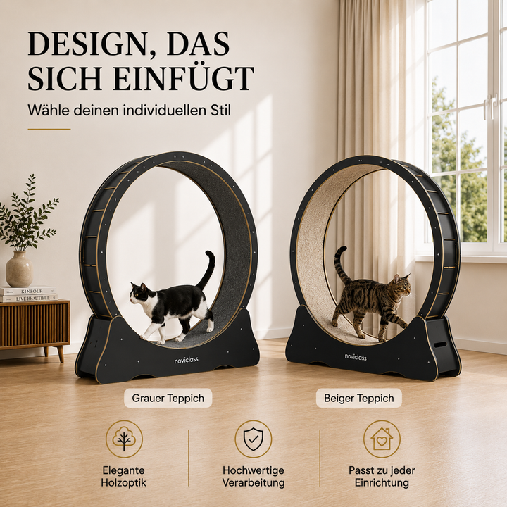 Katzenlaufrad &