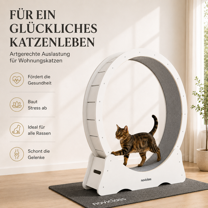 Katzenlaufrad &