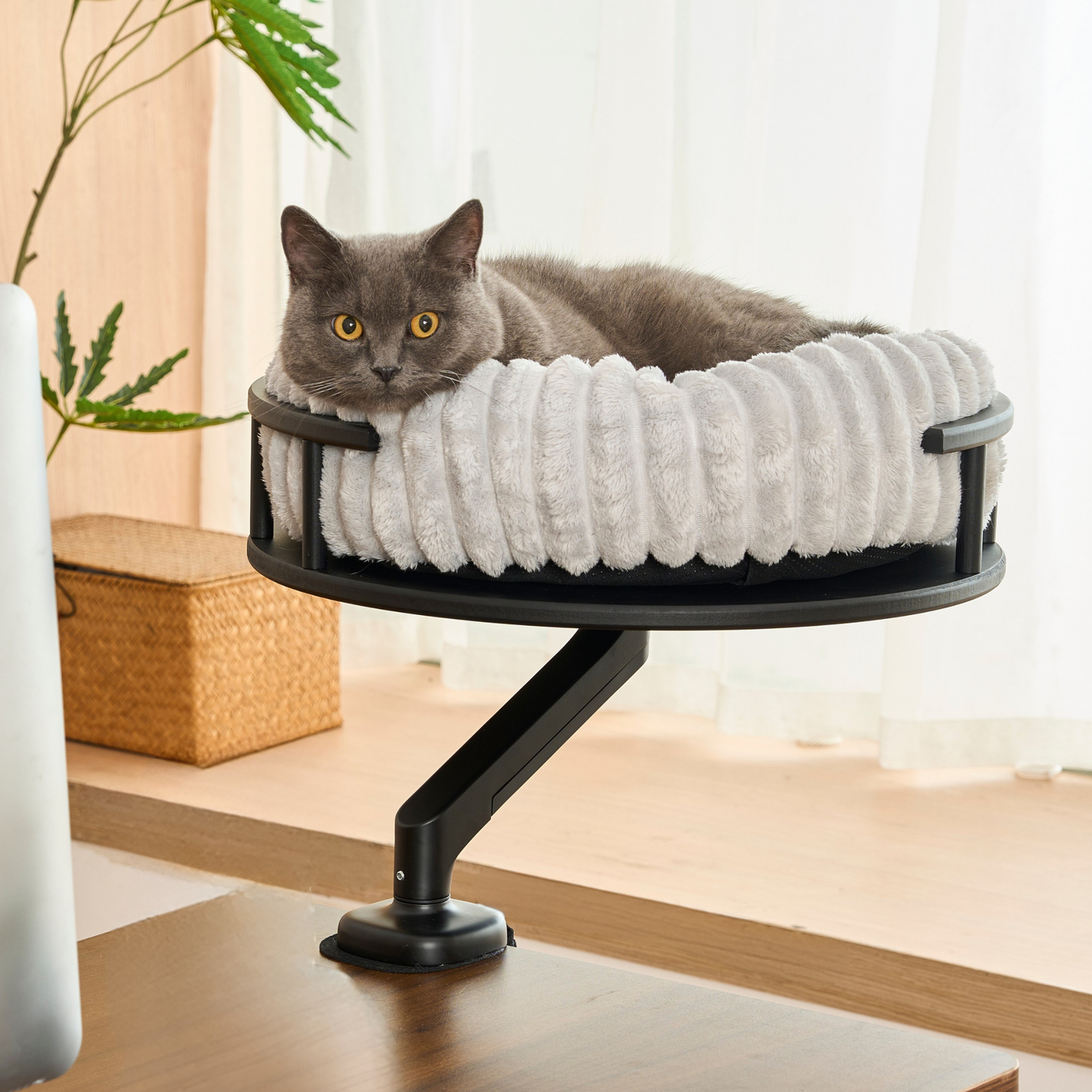 Katzenplattform 'Levi'