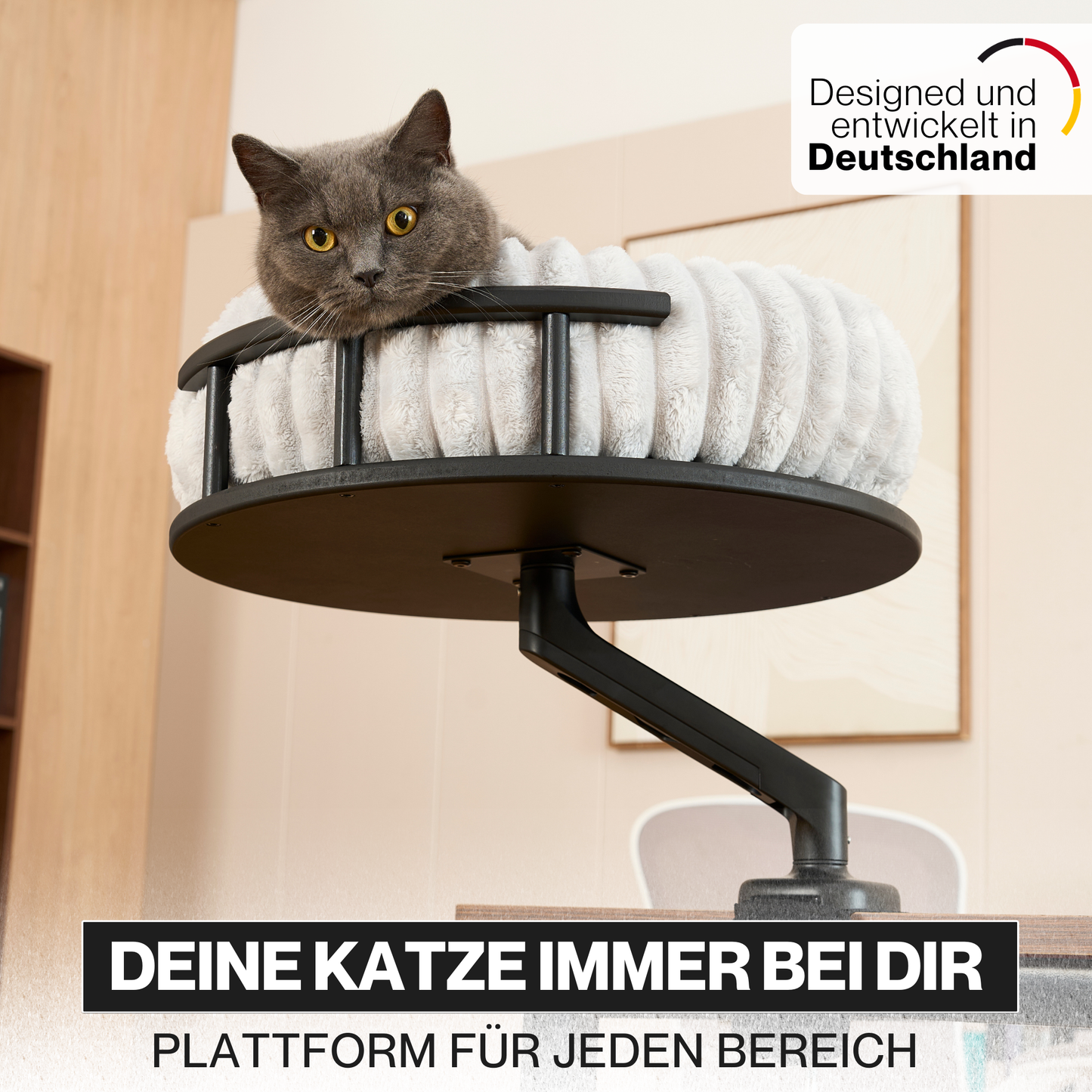 Katzenplattform 'Levi'