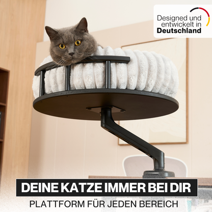 Katzenplattform 'Levi'
