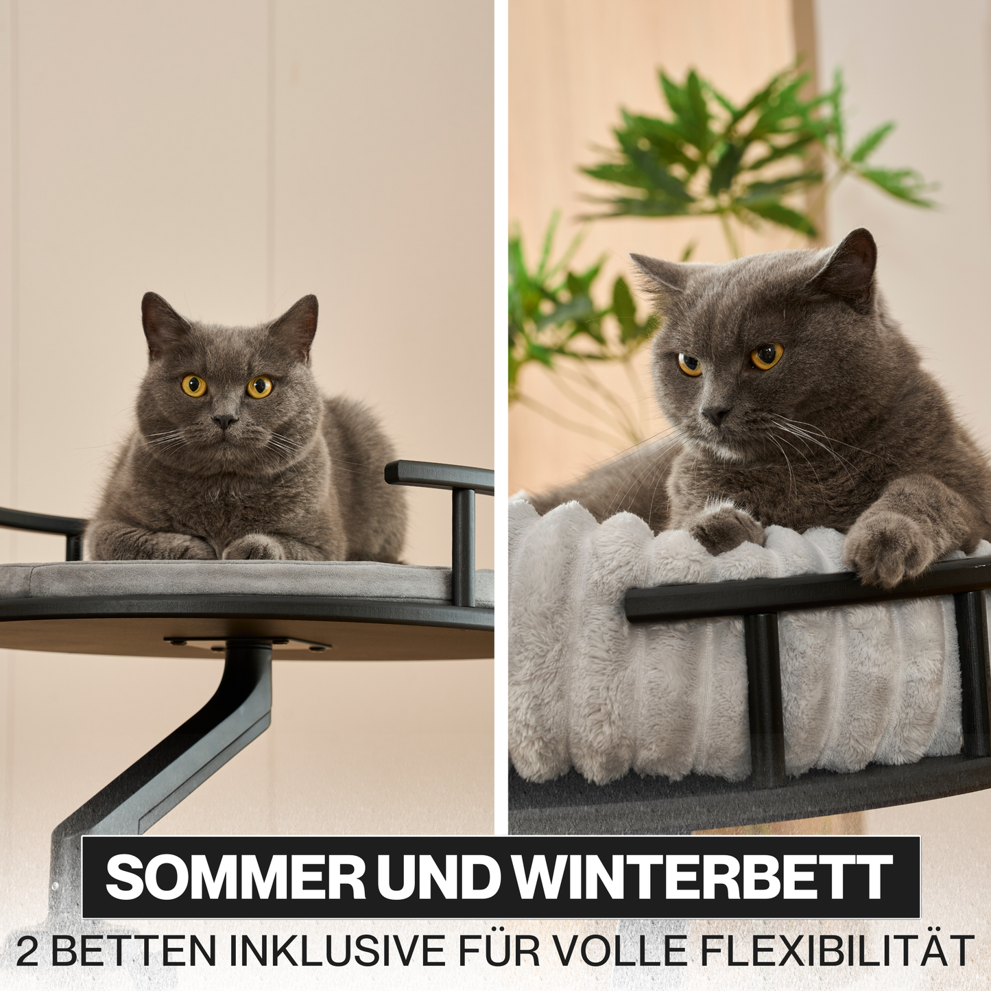 Katzenplattform 'Levi'