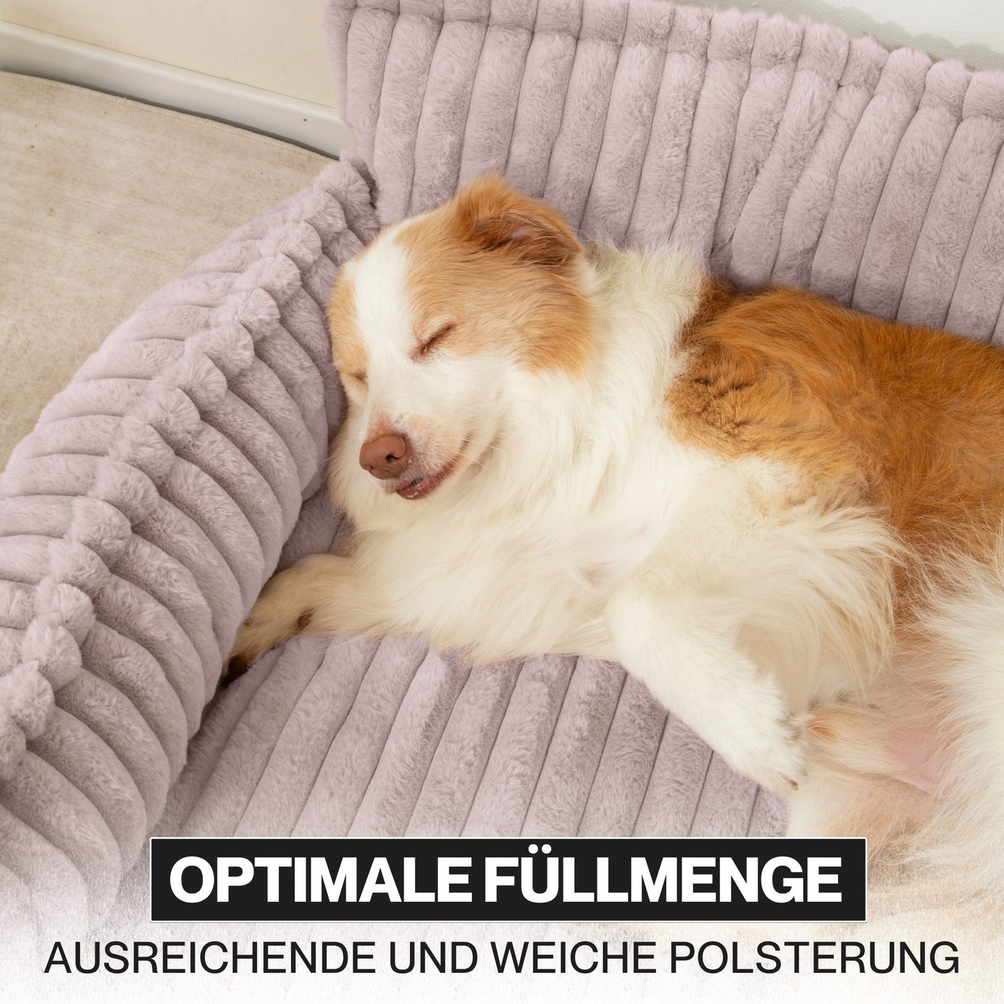 Haustiersofa 'Chaffar'