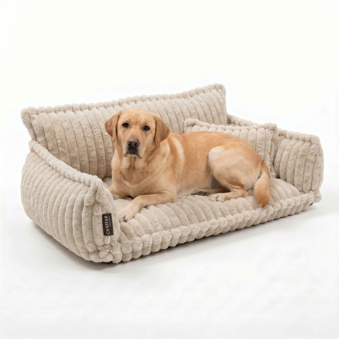 Haustiersofa &