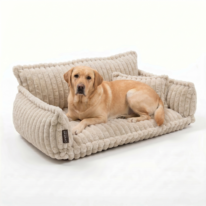 Haustiersofa &