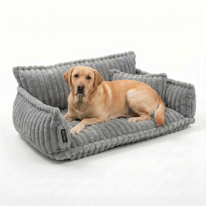 Haustiersofa &