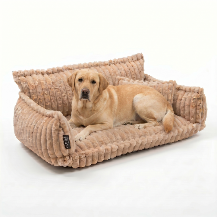 Haustiersofa &