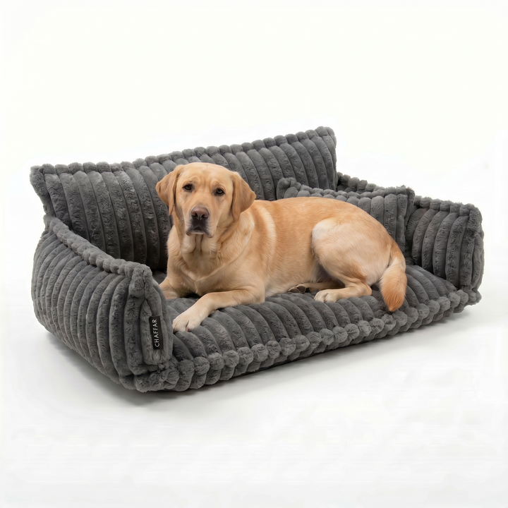 Haustiersofa &
