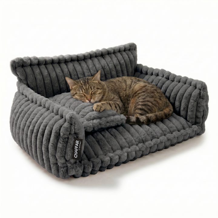 Levi &amp; Chaffar (80cm)