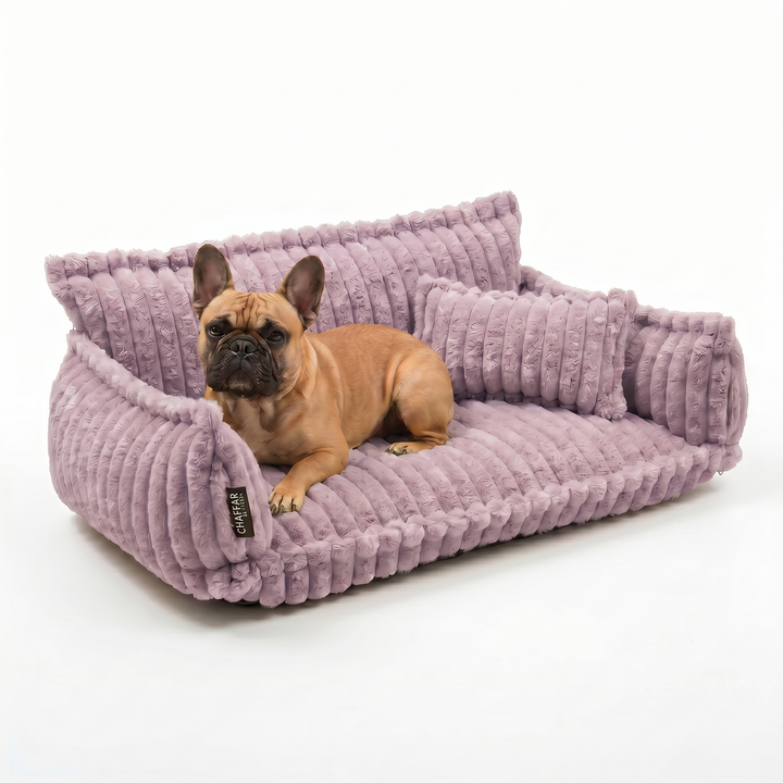 Haustiersofa &