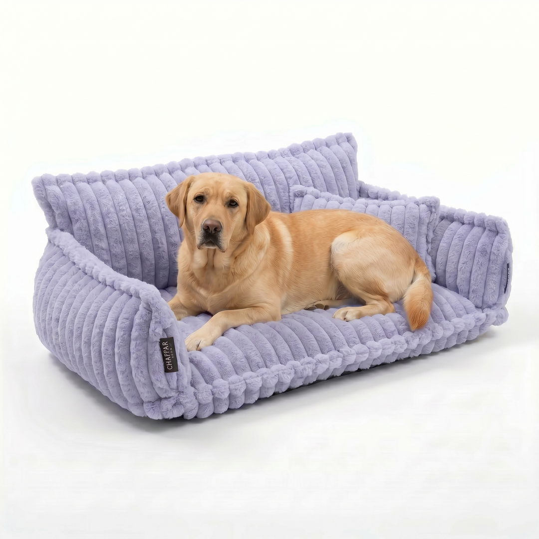 Haustiersofa &