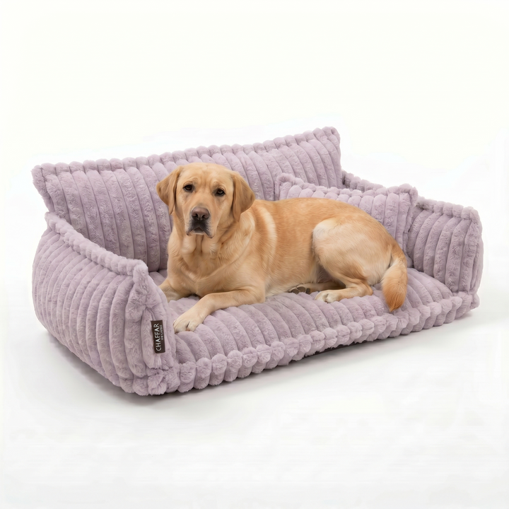 Haustiersofa &