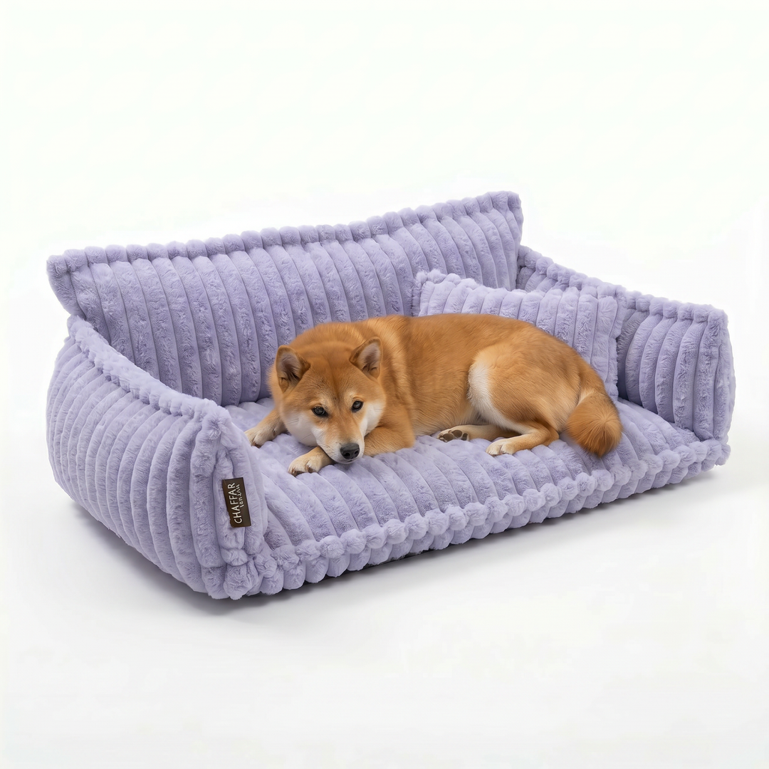 Haustiersofa &