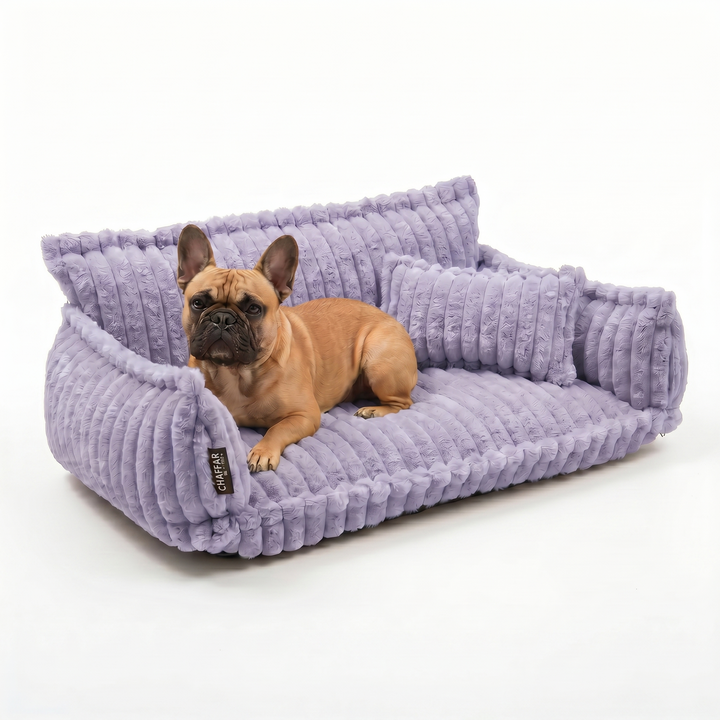 Haustiersofa &