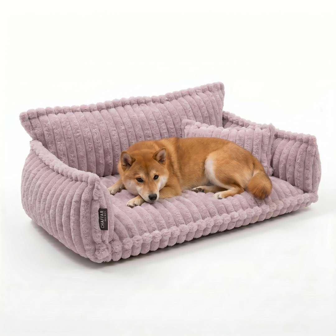 Haustiersofa &