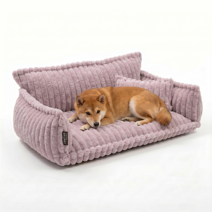 Haustiersofa &