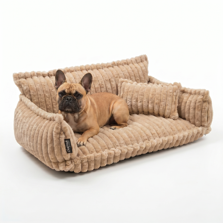 Haustiersofa &