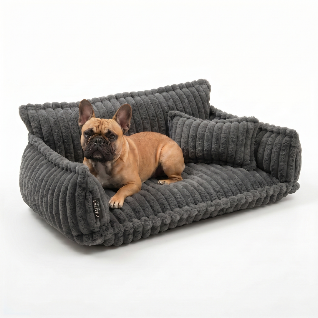 Haustiersofa &