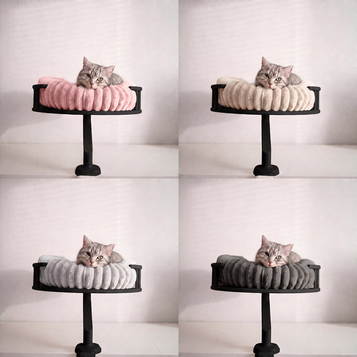 Winter &amp; summer cover